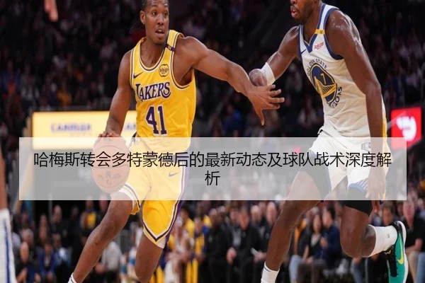 哈梅斯转会多特蒙德后的最新动态及球队战术深度解析